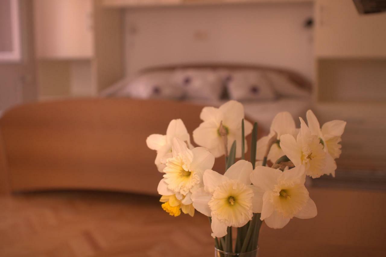 Apartment Katarina Porat *